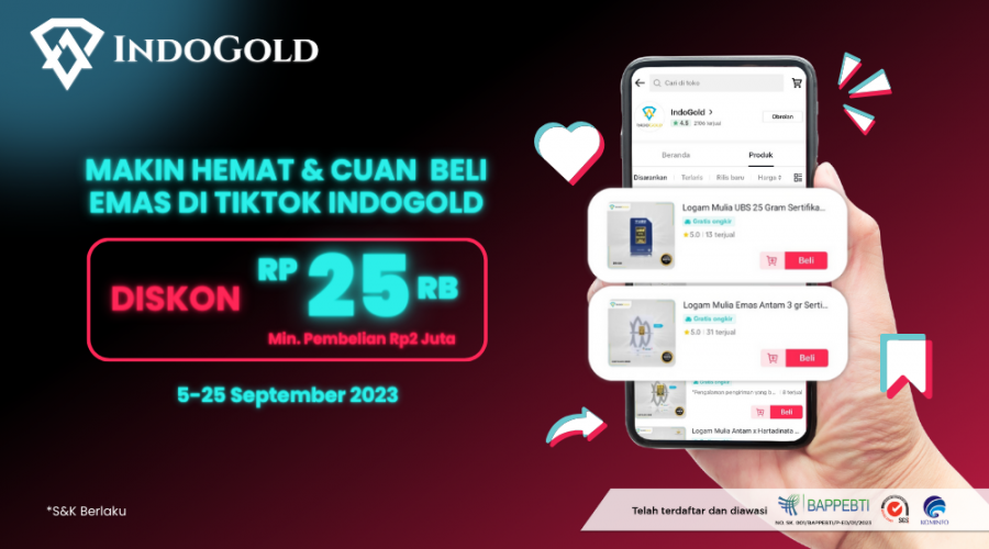 Newsletter Promo Tiktok 1