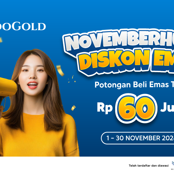 Newsletter All Promo Nov 2024